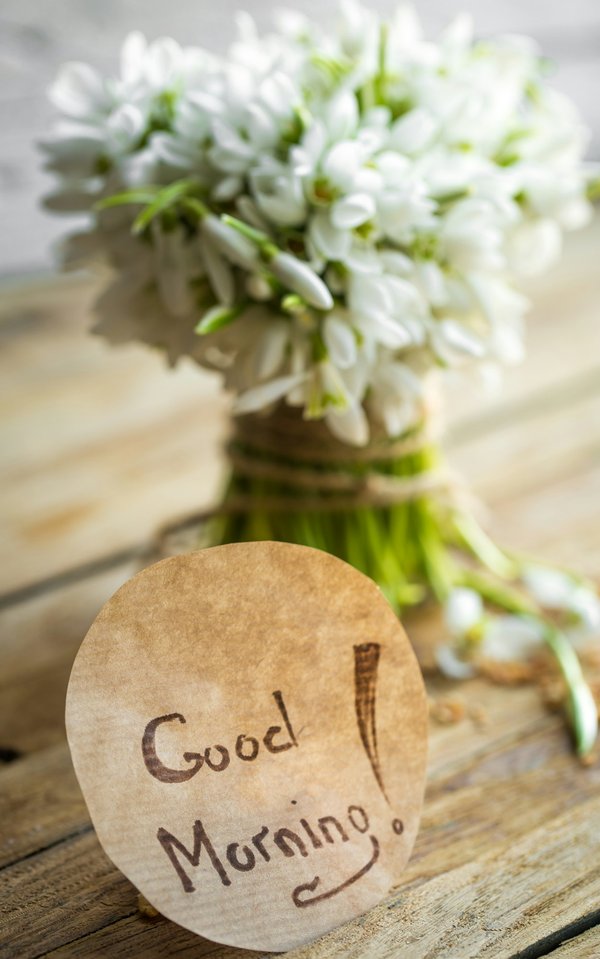 Top gründe, warum der panettone fiasconaro oro bianco begeistert